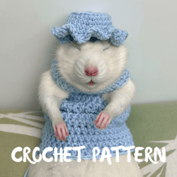 CROCHET PATTERN Rat Coat Sweater Rat/Easy Rat Pet Crochet Pattern/Instant ZIP Download/Rat Top Sweater Beginner Pattern