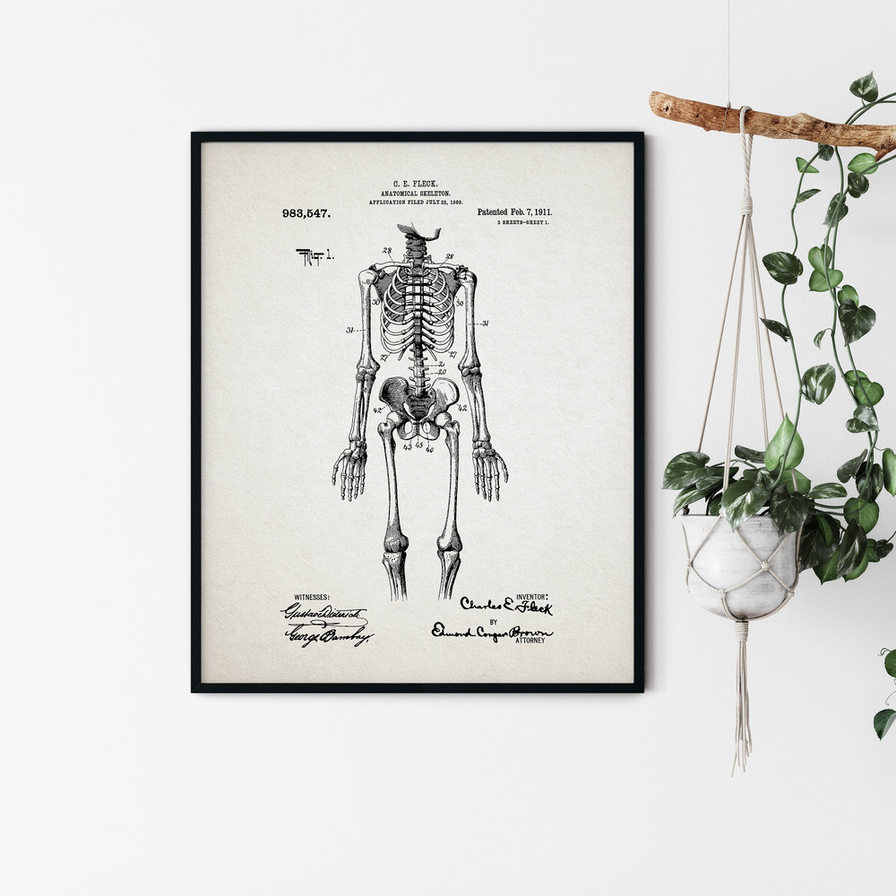 Anatomy_Patent_Poster_01.jpg