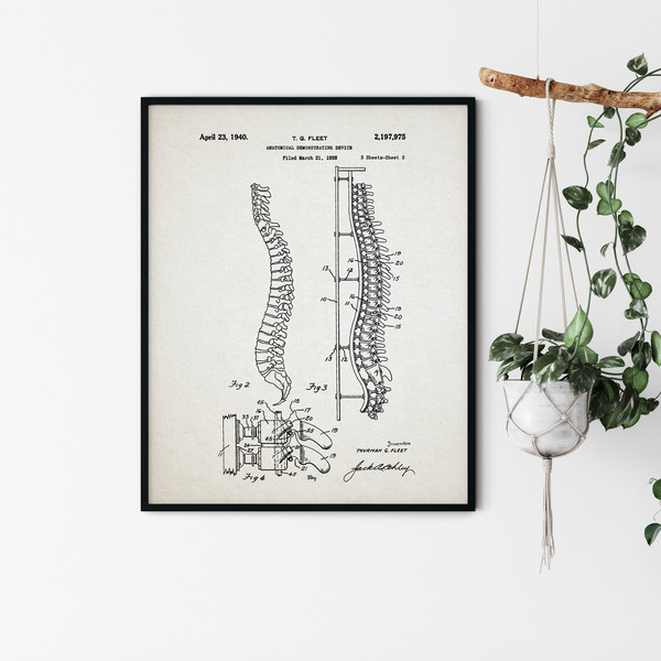 Anatomy_Patent_Poster_02.jpg