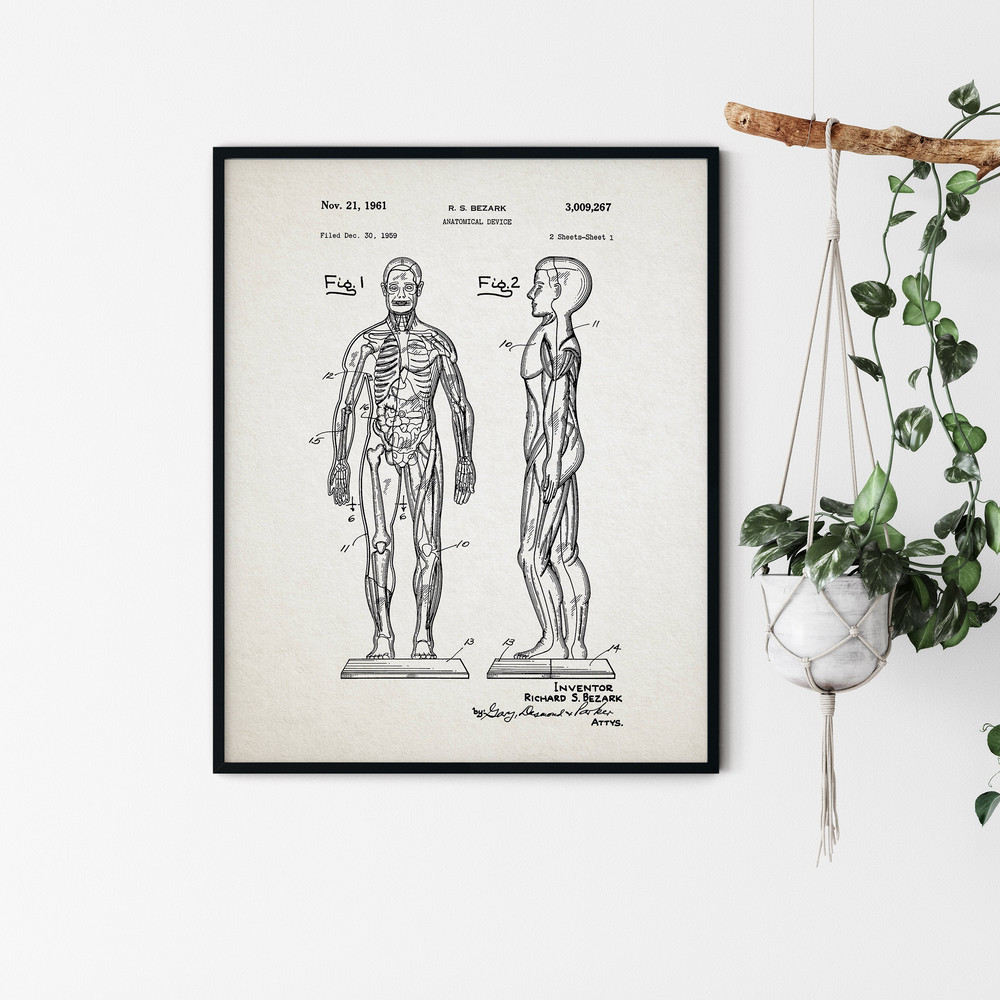Anatomy_Patent_Poster_04.jpg