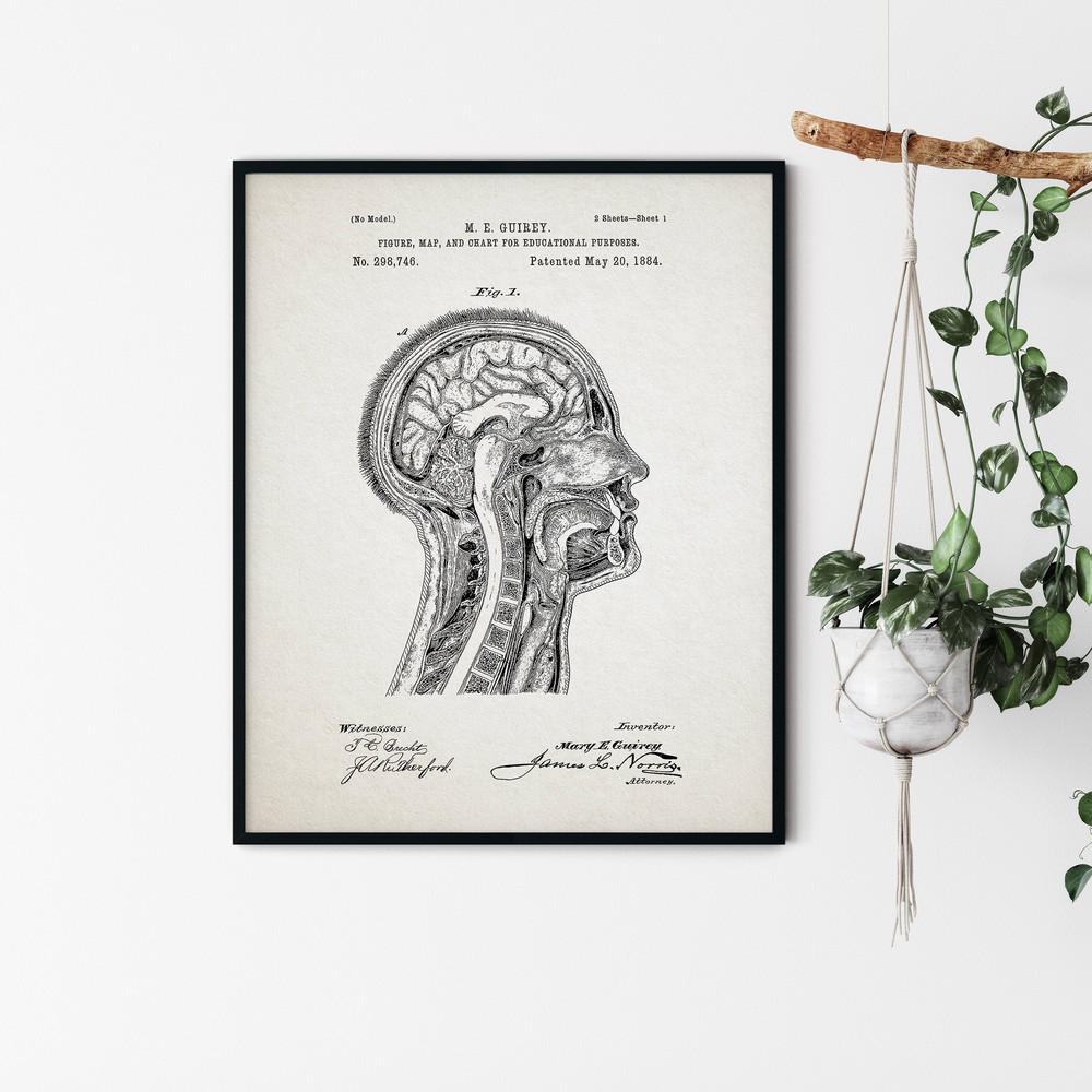 Anatomy_Patent_Poster_05.jpg