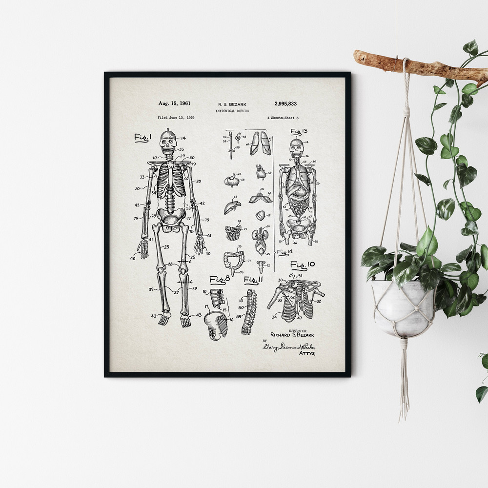 Anatomy_Patent_Poster_06.jpg