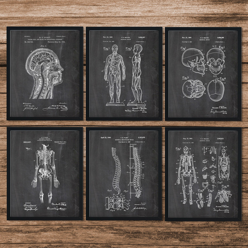 Anatomy_Patent_Poster_00.jpg