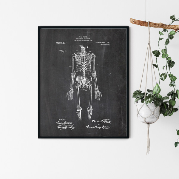 Anatomy_Patent_Poster_01.jpg