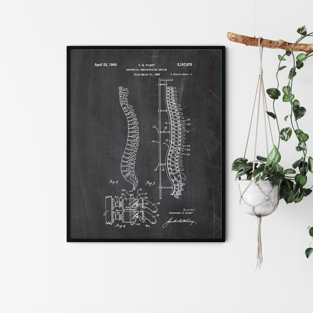 Anatomy_Patent_Poster_02.jpg