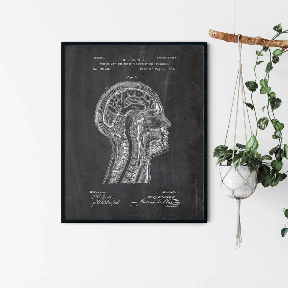 Anatomy_Patent_Poster_05.jpg