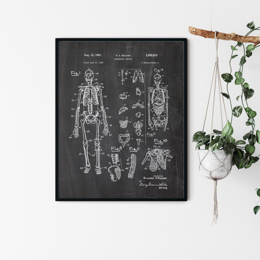Anatomy_Patent_Poster_06.jpg