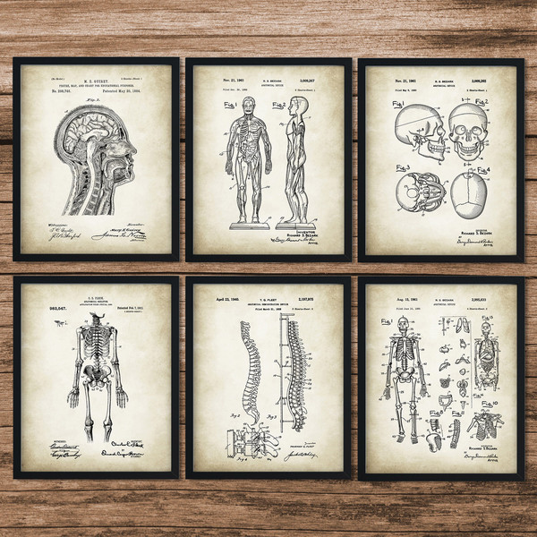Anatomy_Patent_Poster_00.jpg