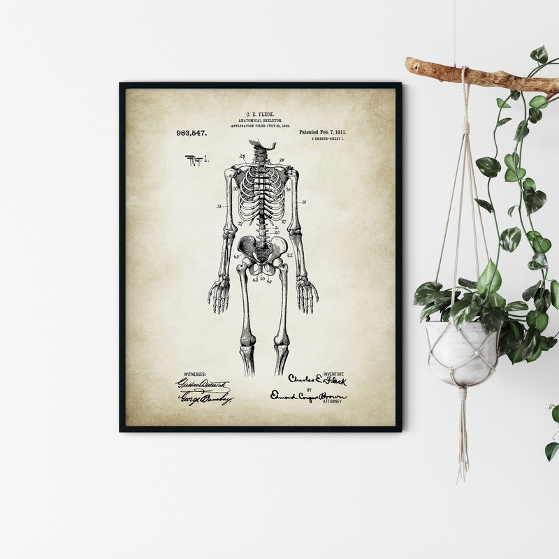 Anatomy_Patent_Poster_01.jpg