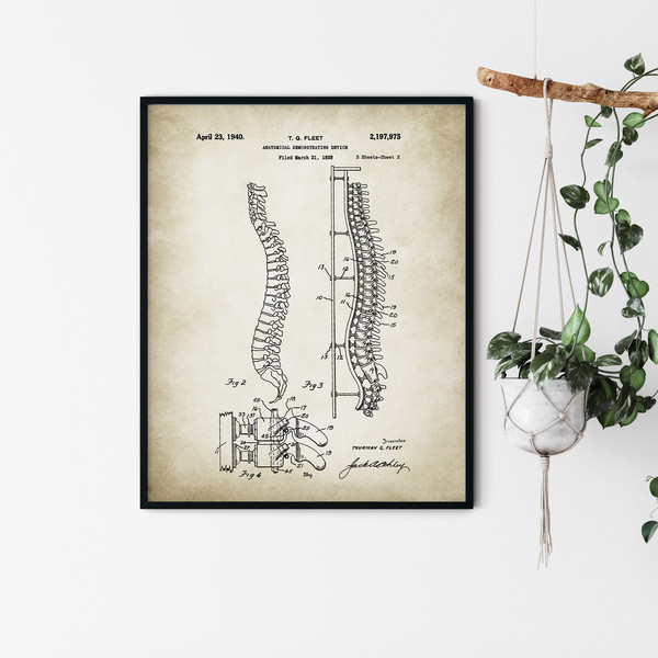 Anatomy_Patent_Poster_02.jpg