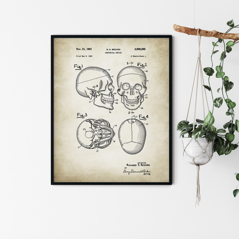 Anatomy_Patent_Poster_03.jpg