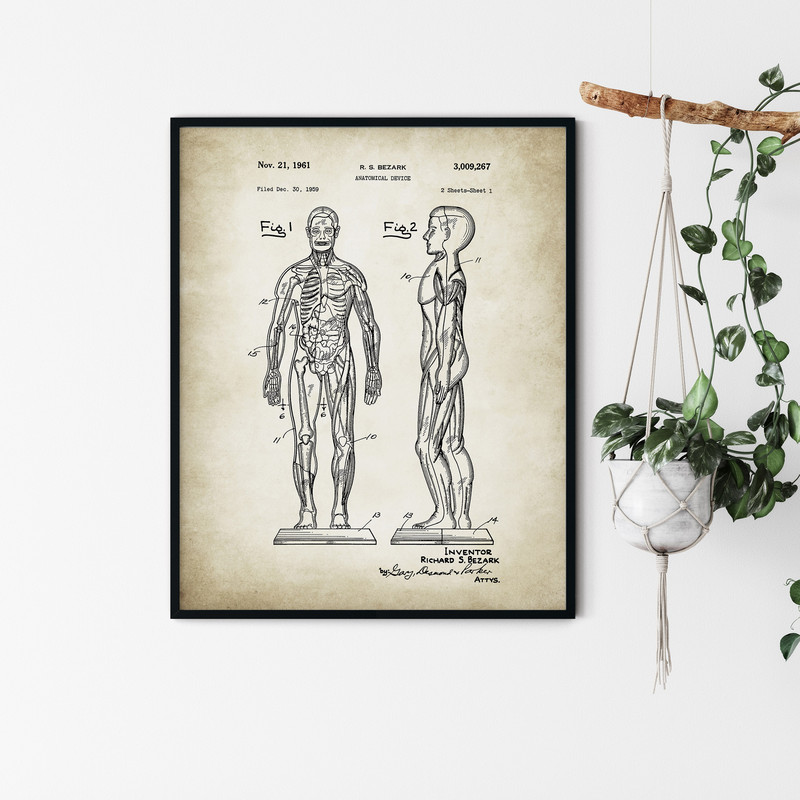 Anatomy_Patent_Poster_04.jpg