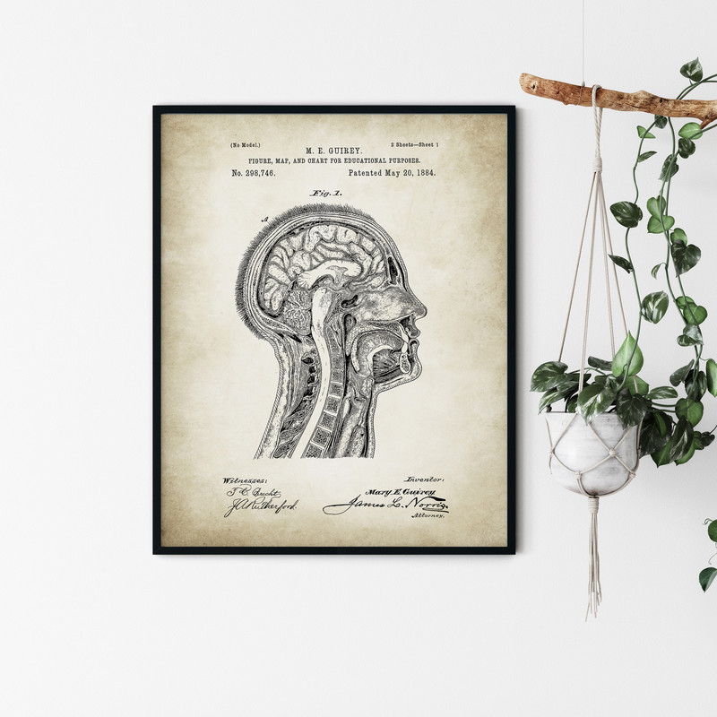 Anatomy_Patent_Poster_05.jpg
