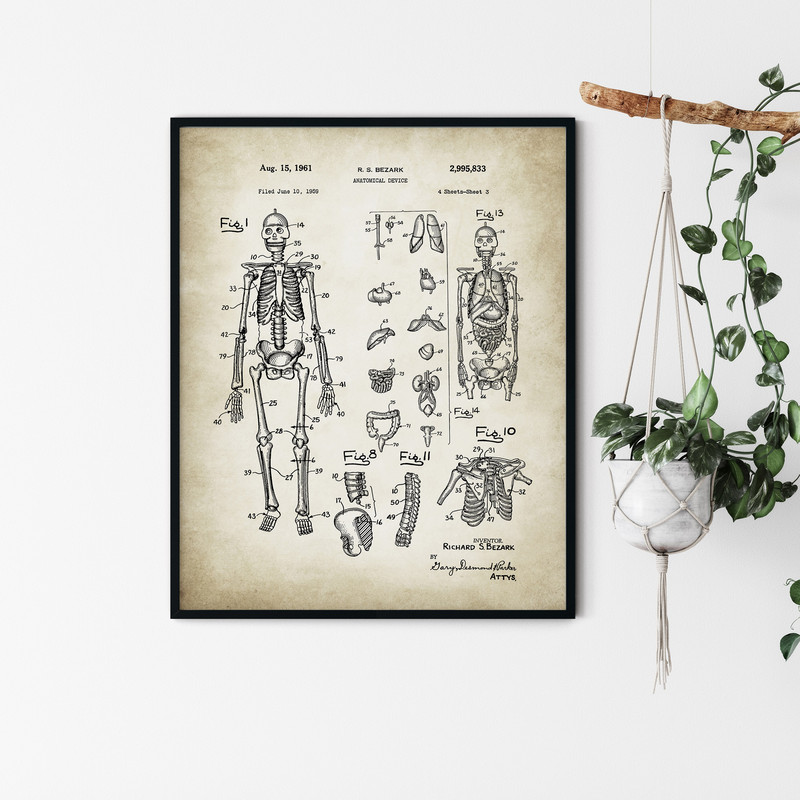 Anatomy_Patent_Poster_06.jpg