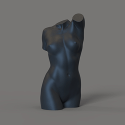 Sexy woman torso for candle pose2