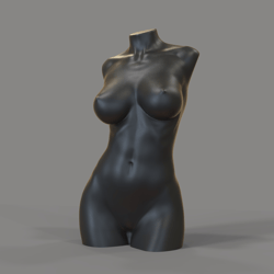 Sexy woman torso for stl 3D printing Woman Moldnakedgirltorso Nakedgirl Sexywoman Sexygirl  3dprintmodel Nakedwoman