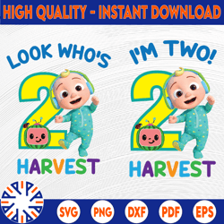 personalized cocomelon birthday png, cocomelon png, watermelon, cocomelon birthday boy / girl png, cocomelon only png