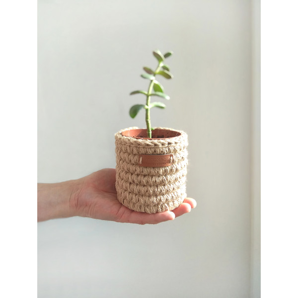 small plant pot 1.jpg