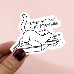 funny cat sticker | get my life together sticker | joke sticker | black and white quote sticker | decal | journaling