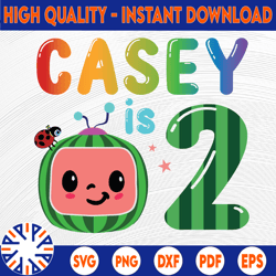 cocomelon personalized name and ages birthday svg png, cocomelon brithday svg,cocomelon family birthday svg