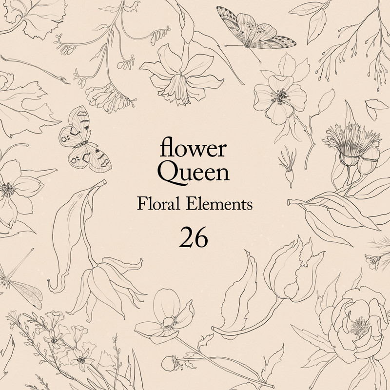 Flower Queen. Graphic floral elements.jpg