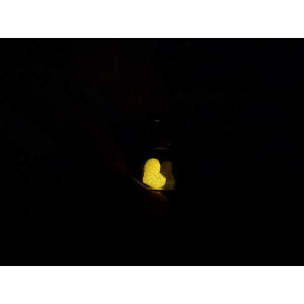 tiny-heart-in-glass-bottle-glow-in-the-dark-necklace.jpeg