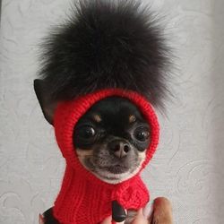 Cute dog hat for chihuahua or other small dogs with large pompom and holes for ears.