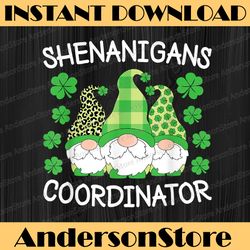 shenanigans coordinator teachers st. patricks day gnomes png sublimation designs