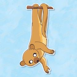 kinkajou super kawaii sticker! adorable friend-for laptop, planner, phone case