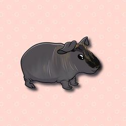 super adorable skinny pig 2. kawaii hairless guinea pig friend friend-for laptop, planner, phone case