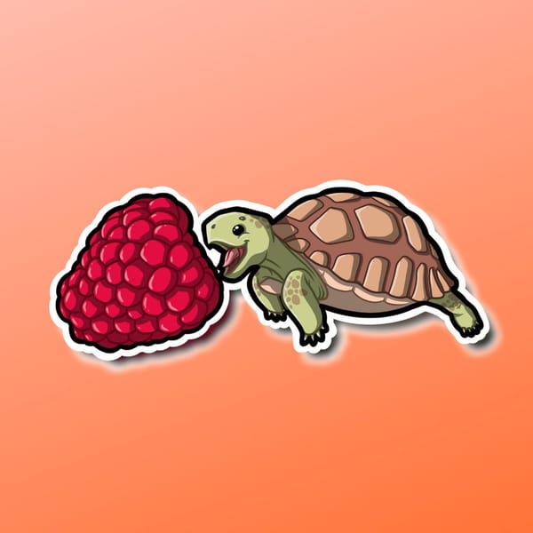 Super Kawaii turtle eating a raspberry sticker! 2.8x 1 inche - Inspire ...