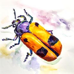 beetle, insect, watercolor, print, interior painting, poster, picture, painting