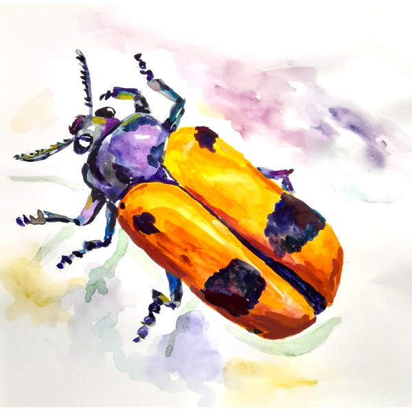 beetle, insect, watercolor, print, interior painting, poster, picture, painting.png