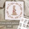 Cross stitch pattern Bunny.jpg