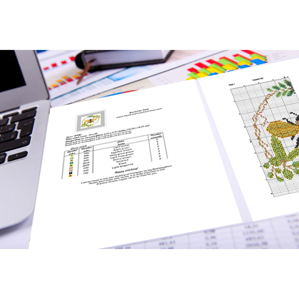 beginner cross stitch parrern.jpg