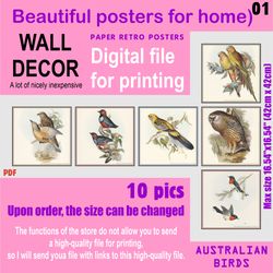 01 Set retro posters (10 files)  Australien BIRDS (solitary)