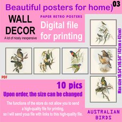 03 Set retro posters (10 files)  Australien BIRDS (solitary)