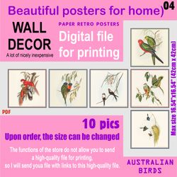 04 set retro posters (10 files)  australien birds (solitary)