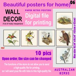 06 set retro posters (10 files)  australien birds (solitary)