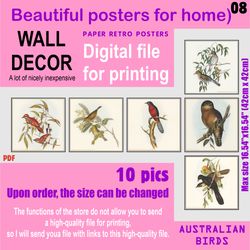 08 Set retro posters (10 files)  Australien BIRDS (solitary)