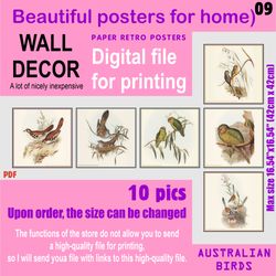 09 Set retro posters (10 files)  Australien BIRDS (solitary)