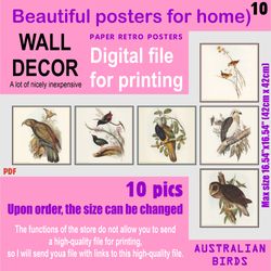 10 Set retro posters (10 files)  Australien BIRDS (solitary)