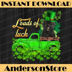 loads of luck truck portuguese water dog st patrick's day png sublimation designs