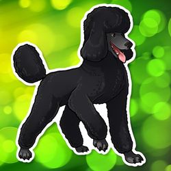 black standard poodle super kawaii sticker! adorable scottie friend-for laptop, planner, phone case