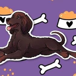 irish water spaniel kawaii sticker! super adorable kawaii dog friend-for laptop, planner, phone case
