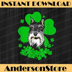 schnauzer st. patrick's day clovers png sublimation designs