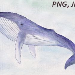 whale watercolor digital postcard clipart png