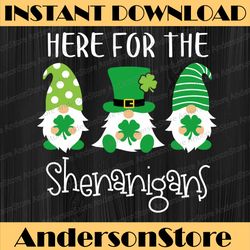 here for the shenanigans st patrick's day gnome png sublimation designs