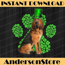 bloodhound shamrock paw clovers st patrick's day png sublimation designs