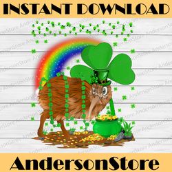 kiwi bird lover shamrock png, rainbow kiwi bird st patrick's day png, st. patrick's day png, shamrock png